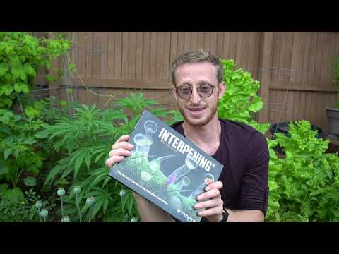 The release of the new Interpening book, Loop, and Weed Wheel!