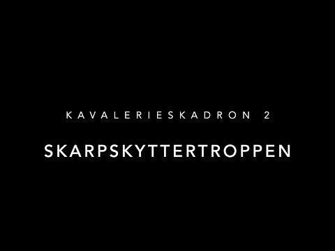 KAVESK 2 - Skarpskyttertroppen - Porsangerbataljonen 2008 dimmefilm