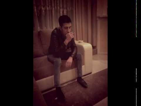 Mohammad Bibak feat Ramin Montazeri - Tanham