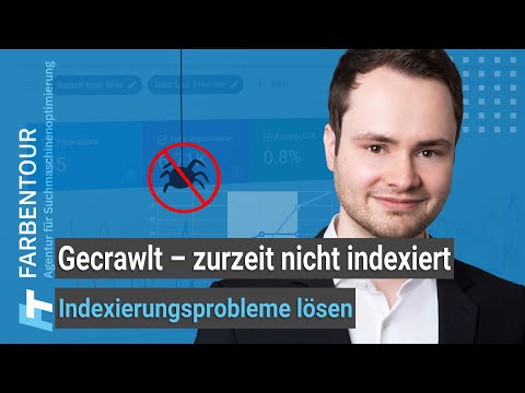 Indexierungsprobleme in der Google Search Console praxisnah beheben