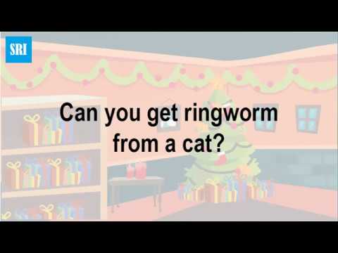 Can you get ringworm from a cat
