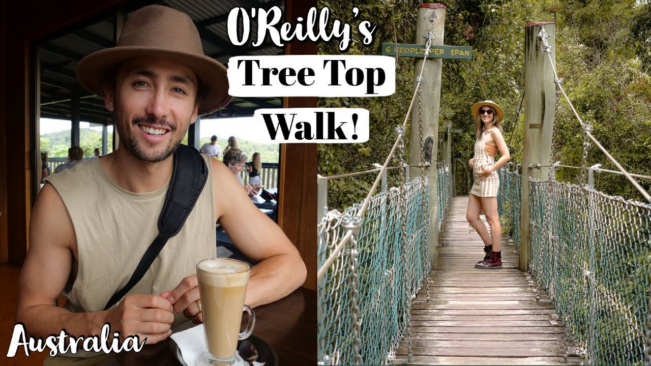 A duo embarks on a visit to Lamington National Park.