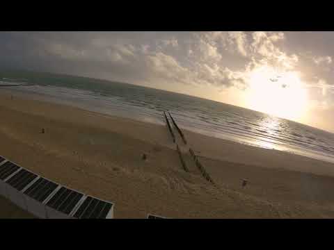 FPV drone | Zeeland | Canola field |