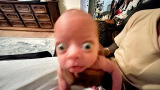 Download lagu 1 hour of memes but you will laugh every second mp3