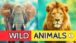 Meet the Wild Animals: Must-Watch for Kids! (part 1)