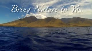 Kayak-Getting the Shot-See behind the scenes of recording relaxation video-Bring nature to you.