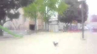 Au Revoir Simone - Where You Go