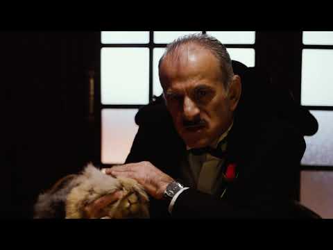 Helem Nejse - Najava turneje "Pola čovjek pola jedan" (Citat filma "Kum")