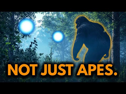 Paranormale Bigfoot-Beweise: Warum ich das Gerede nicht länger ignorieren kann (Schockierend)