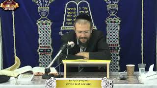 שלחן ערוך אורח חיים סימן תקפ"ט-תק"צ ¤ הרב אפרים ניסן ¤ י"ז אלול תשפ"ה (10.9.2025) (מוסדות תורת דוד) - התמונה מוצגת ישירות מתוך אתר האינטרנט יוטיוב. זכויות היוצרים בתמונה שייכות ליוצרה. קישור קרדיט למקור התוכן נמצא בתוך דף הסרטון שלחן ערוך אורח חיים סימן תקפ"ט-תק"צ ¤ הרב אפרים ניסן ¤ י"ז אלול תשפ"ה (10.9.2025) (מוסדות תורת דוד) - התמונה מוצגת ישירות מתוך אתר האינטרנט יוטיוב. זכויות היוצרים בתמונה שייכות ליוצרה. קישור קרדיט למקור התוכן נמצא בתוך דף הסרטון