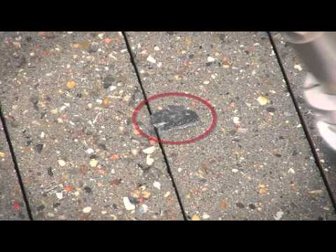 Aquila Triventek - Chewing gum removal with high pressure cleaner TD302REC