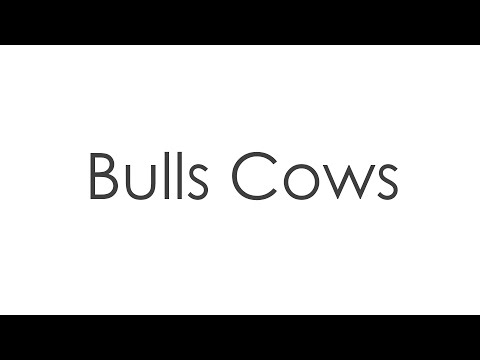 Bulls Cows Code Breaker Video