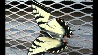 momentsinnature