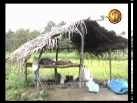 electricity sin 100213