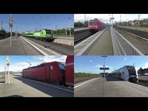Bahnverkehr in Herford mit Flixtrain(Neu), Br 146.3 + Dostos, Desiro HC, Br 101, ICE 2. IC2 und mehr