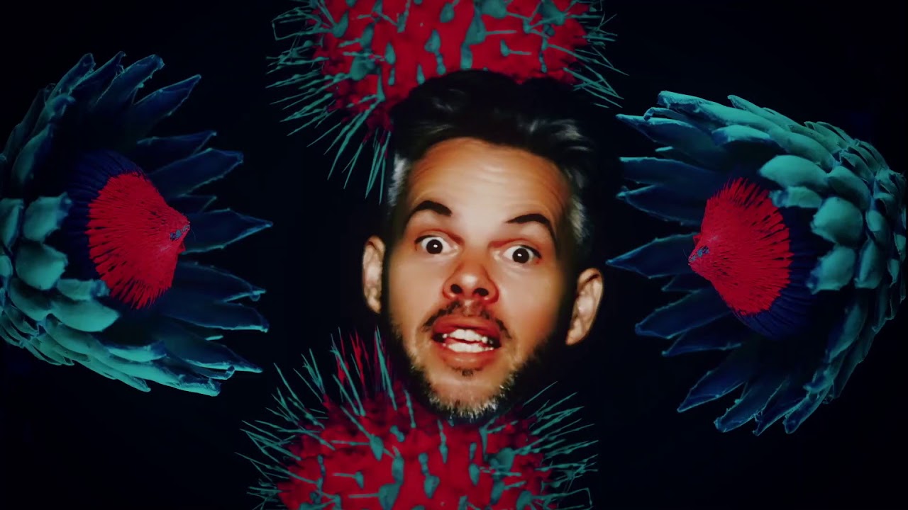 Pnau — Into The Sky