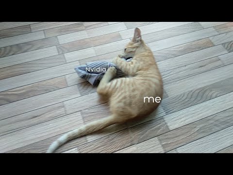 Me and Nvidia having a small talk