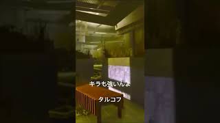 キラ　強いんよ　『タルコフ』