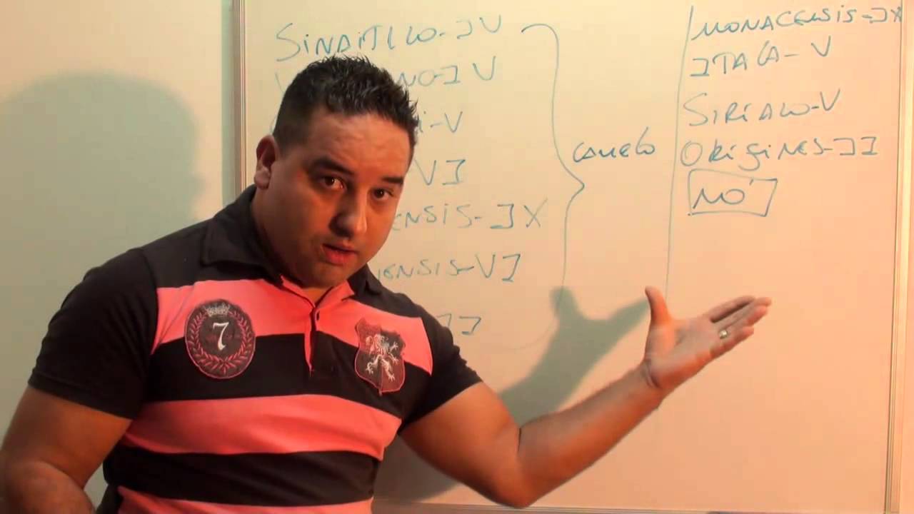 Afinal é camelo ou nó?Havia uma porta com nome de agulha?