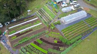 CRUSHING IT ON A QUARTER ACRE!!!