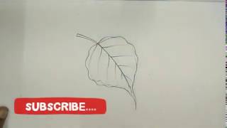How to draw peepal tree leaf step by step for childrens //very easy drawing....