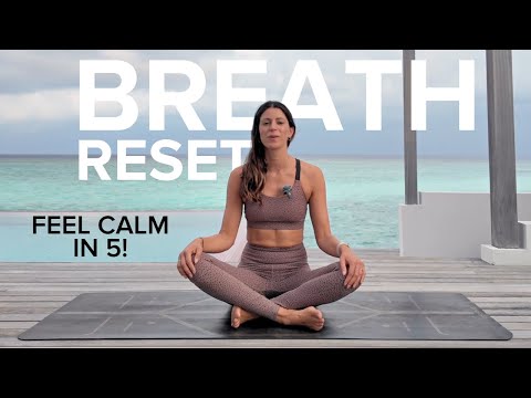 Morning Breathwork | 5 Minutes of Guided Breathing with Hannah Barrett