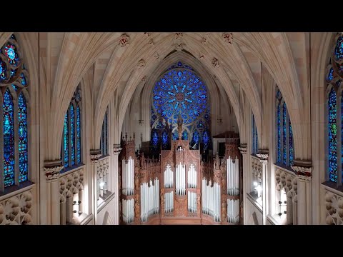 Stained Glass Windows