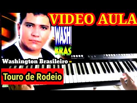 Touro De Rodeio - Washington Brasileiro