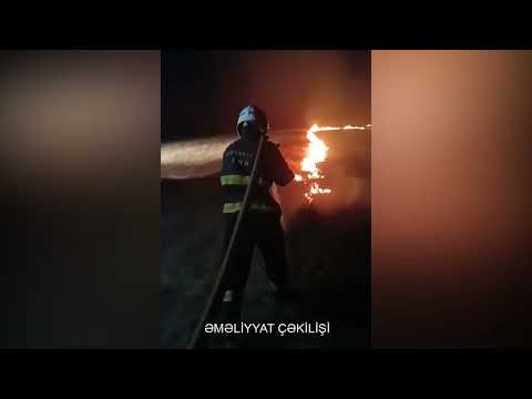 Ötən həftənin xronikası