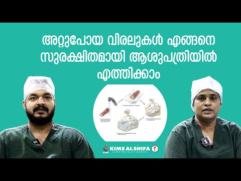 Cut off finger : First aid, treatment and recovery | KIMS Alshifa Perinthalmanna