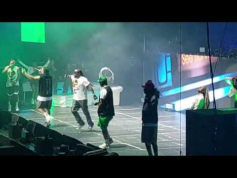 NELLY & St. Lunatics 💫Party Up (Up in Here)