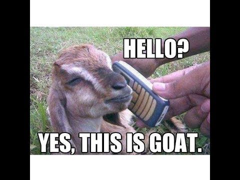 Mahendra Ramkellawan x Terry Gajraj - Goat Bite Me "2019 Chutney