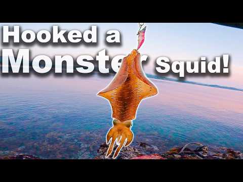 Giant Squid Fishing in Japan