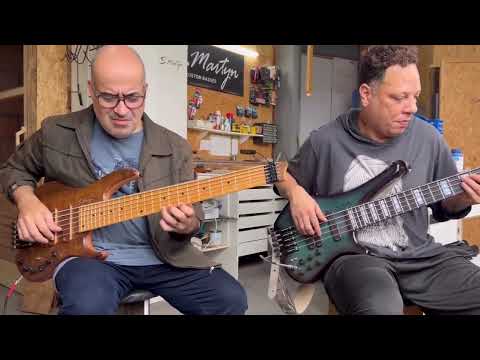 S.Martyn Fluence 6 cordas e  Blaze de 5 cordas