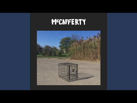 Fountain video