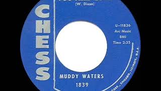 1st RECORDING OF: Whole Lotta Love (as ‘You Need Love’) - Muddy Waters (1962)