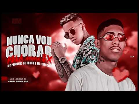 MC PEDRINHO DO RECIFE E MC THEUZYN - NUNCA VOU CHORAR PELA MINHA EX