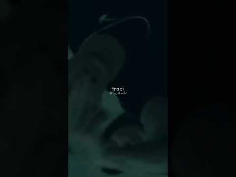 leyon x LayZ - Cajka