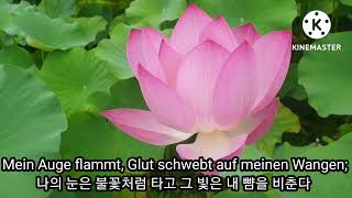 Wie Es Geschah 1983 Movie Ringtone Watch HD Mp4 Videos Download Free