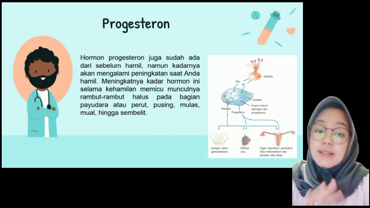 Cara Kerja Hormon Esterogen Dan Progesteron