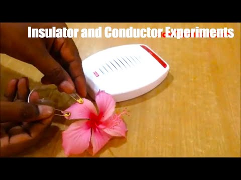 Water Density Science Experiment using Eggs Salt Water DIY howtofunda