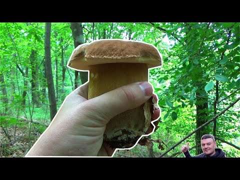 VRGANJI - Dobar & Loš