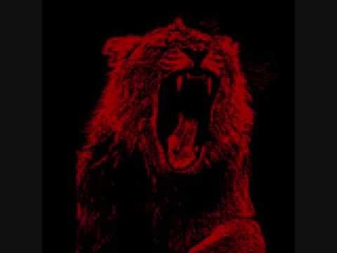 Martin Garrix & Jay Hardway vs Ansol & Dyro - Animals (Mashup jay-42)