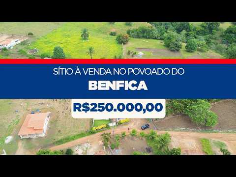 Sítio à venda no povoado do Benfica em Santo Antônio de Jesus - BA