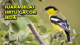 Download lagu MASTERAN SIRTU GACOR JEDA SANTAI MANTAP AMPUH mp3