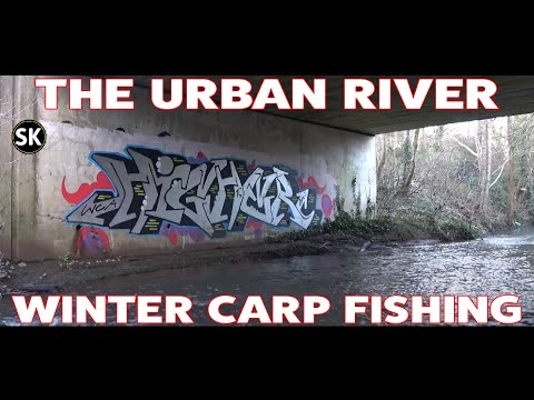 Urban River Fishing for Carp - The River Wallington