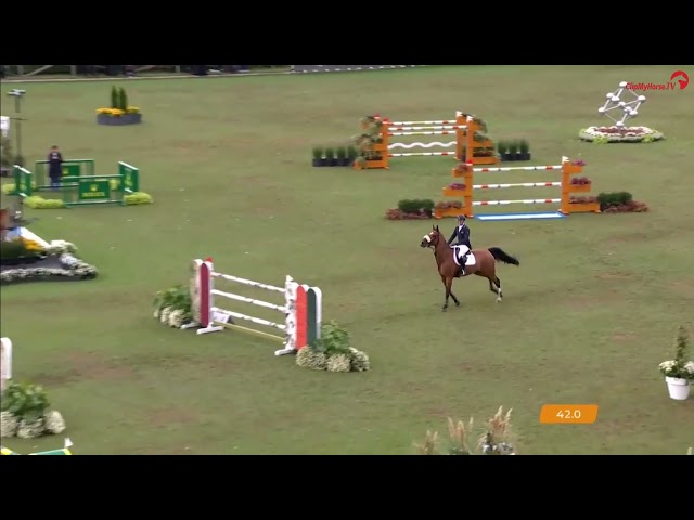 Half-brother of the mother is the CSI 1.60m jumping horse Origi van de Vosberg with rider Niels Bruynseels.