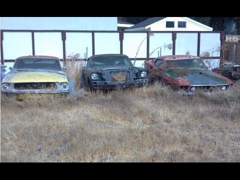 Yard Find Mustangs ! 1969 Mach 1 428 SCJ, 1968 S Fastback, 1965 A Fastback, 1969 Convertible
