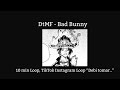 DTMF Bad Bunny 10 Min Loop TikT K Instagram