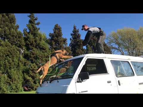 NEVE - Vonlindenhof Amara